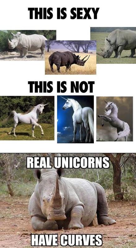 Meme Real unicorns have curves