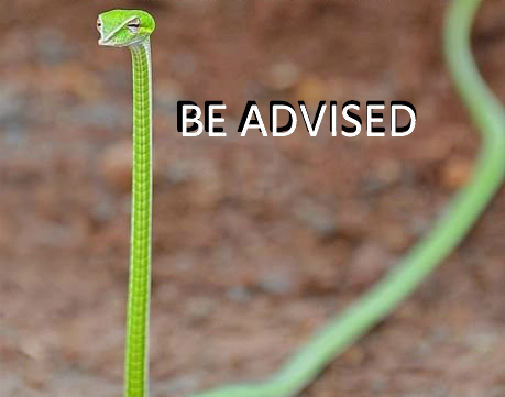 Be advised - Snake