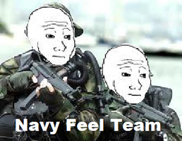 Navy feel team