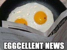 Eggcellent news