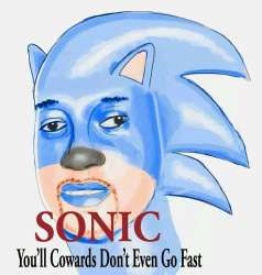 You'll cowards don't even go fast - Sonic