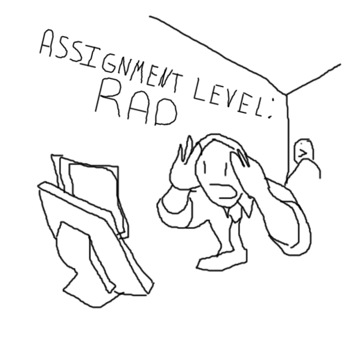 Le assignment level rad
