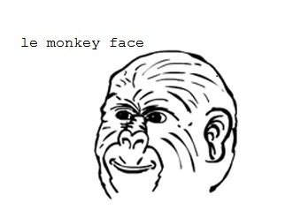 Le monkey face