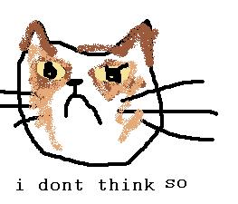 Le I don't think so cat