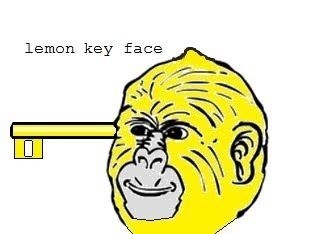Le mon key face