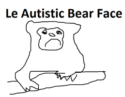 Le autistic bear face