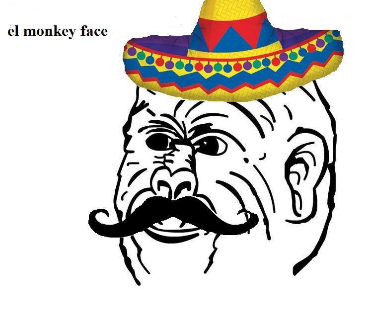 Le el monkey face