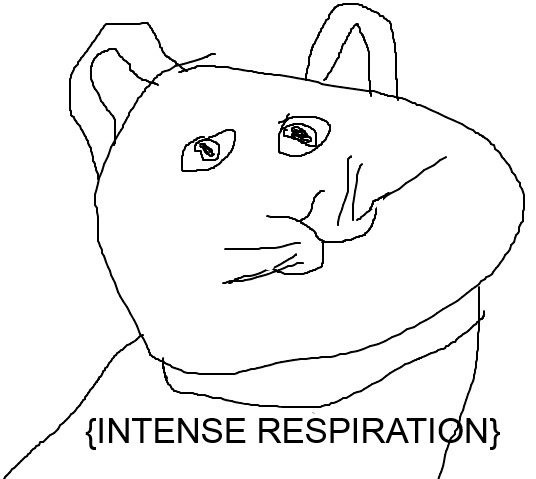 Le intense respiration