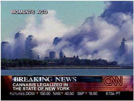 Cannabis legalized in the state of New York