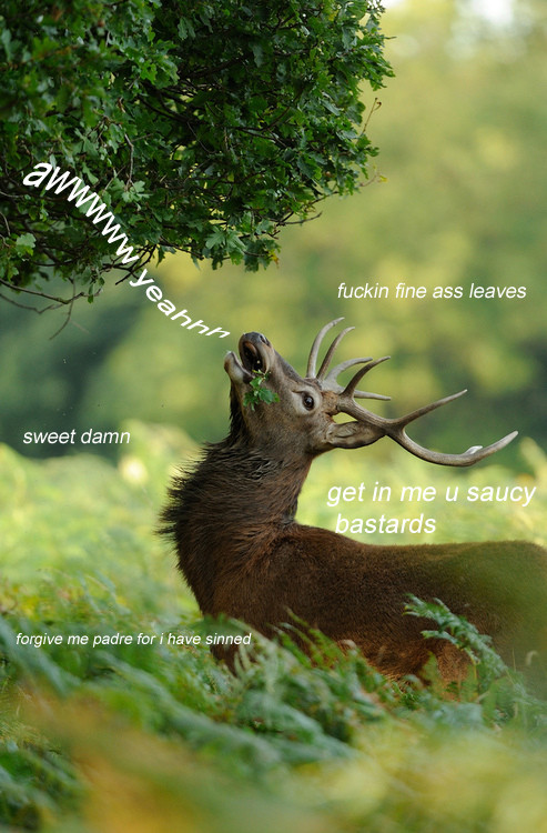 Awwww yeah fuckin fine ass leaves
