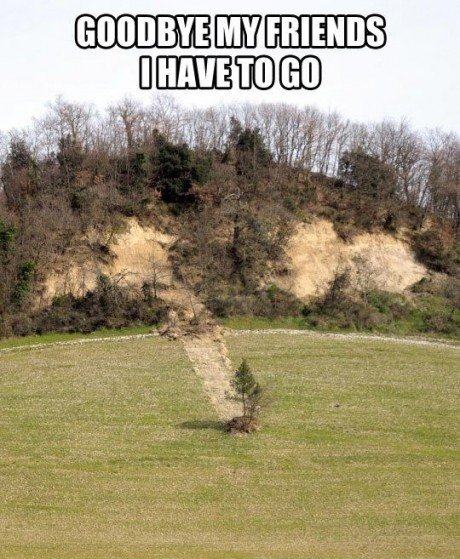Goodbye my friends I have to go