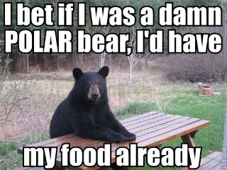 I bet if I was a damn polar bear I'd have my food already