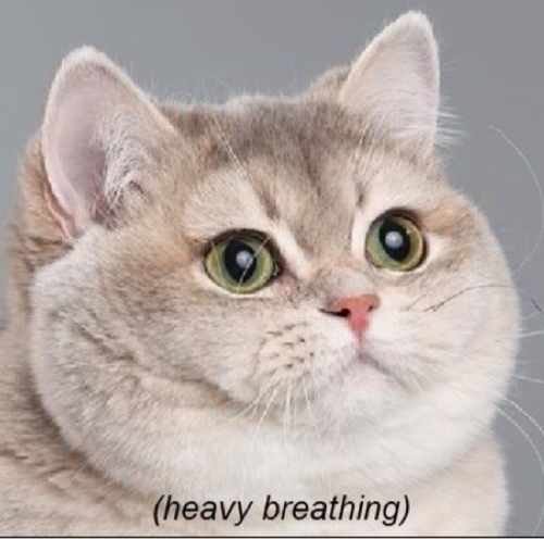 Heavy breathing
