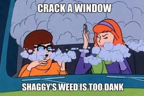 Crack a window, shaggy's weed is too dank