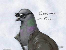 Coo, man... coo
