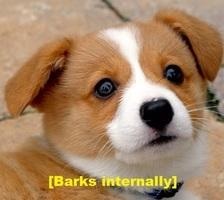 [barks internally]
