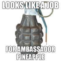 Ambasador pineapple