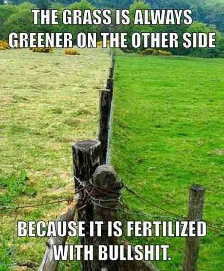The grass is always greener on the other side